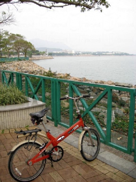 踱步大埔海濱長廊，以單車馳騁於吐露港海岸線，感受海水的鹹香。