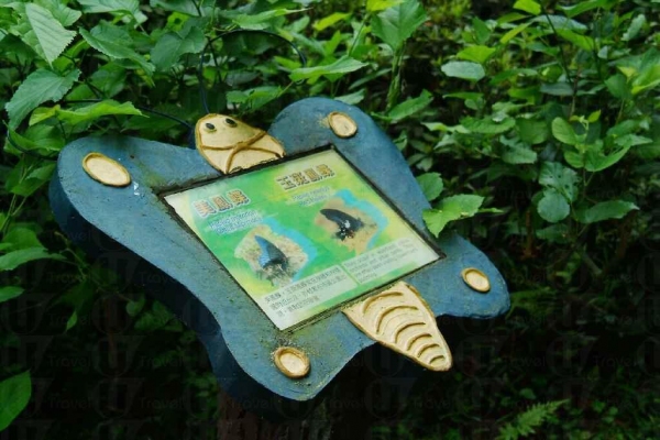 園內設有生態教育牌板，仔細描述植物及昆蟲的習性、飛行速度等等。