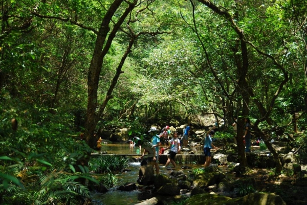 大埔滘的溪澗水質達極佳級別，不少學生到來作水質實驗。