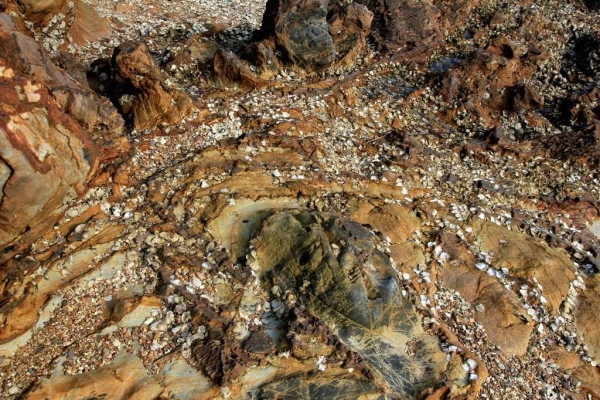 岩石因為長年累月受到外來的力量，出現摺曲的現象。