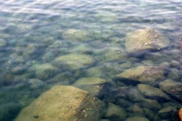 海下灣為保護區，水清見底。