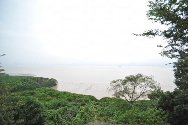 站在觀鳥軒望向深圳方向，可眺望米埔后海灣「拉姆薩爾濕地」。