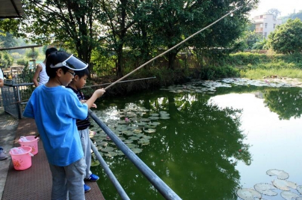 園內同樣設有魚池，雖然魚杆以竹枝製成，遊客亦可在此一試自己身手與耐性。
