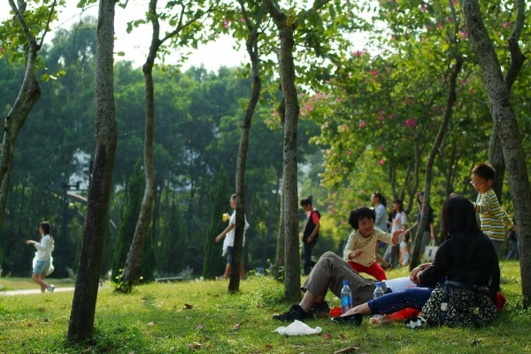 不少人在周末到大埔海濱公園享天倫之樂。