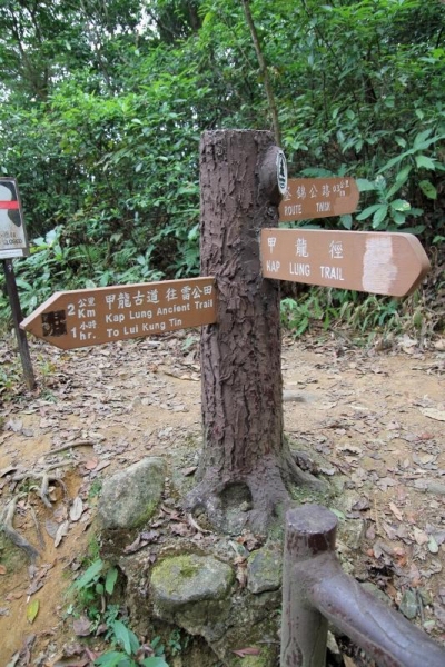 這路標是甲龍林徑和甲龍古道的分岔口，直走是甲龍古道，左轉則是甲龍林徑。