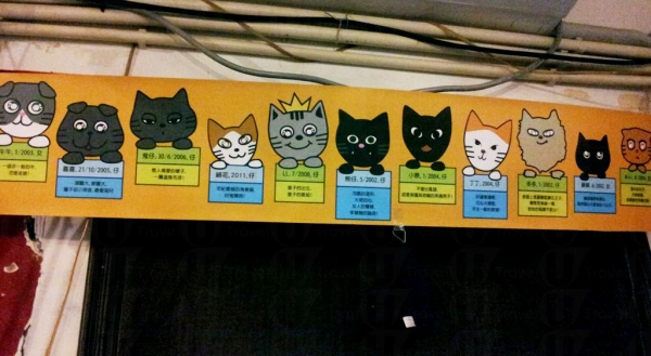 牆上貼有 11 隻駐場貓咪小檔案