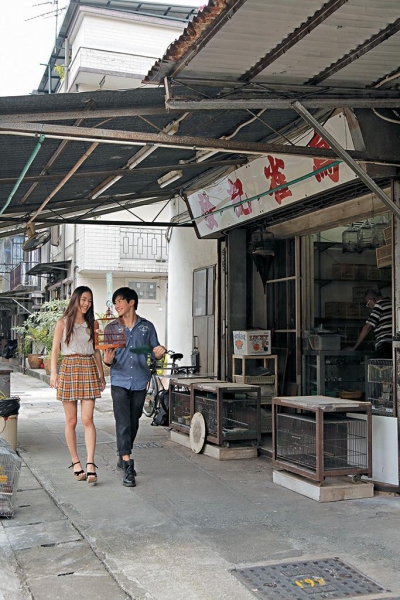 發記雀鳥是大圍村內唯一一間售賣雀粟雀鳥的店舖。