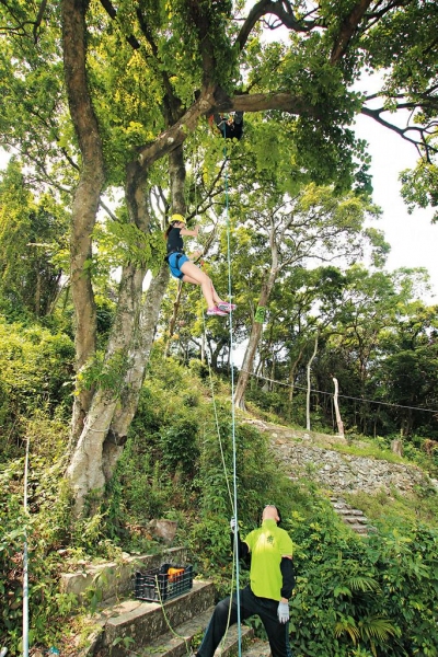 利用爬樹繩和踩腳繩慢慢攀爬，不經不覺就上升幾米的高度了。