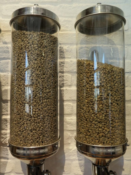 左邊的咖啡豆是用水洗、右邊是用日曬。