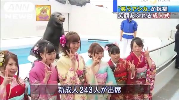 千葉縣會笑的海獅明星 