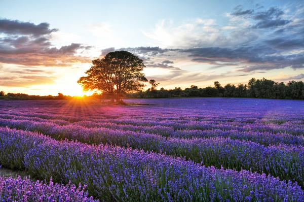 最浪漫!11 個最正求婚勝地!