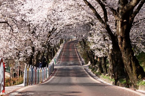 最浪漫!11 個最正求婚勝地!