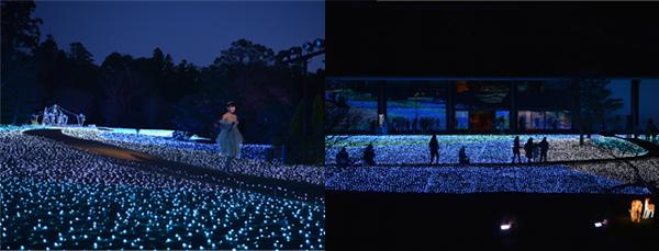 藍色燈海 奈良琉璃繪燈光 Show 