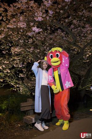 東京參加河津櫻祭 邊賞花邊玩邊食攻略 