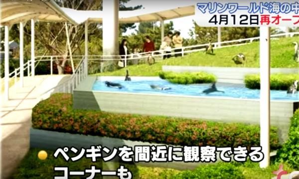 福岡海之中道水族館、 香椎花園重開 　新貌登場！