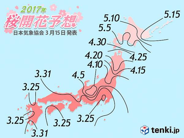 2017 日本賞櫻時間表 