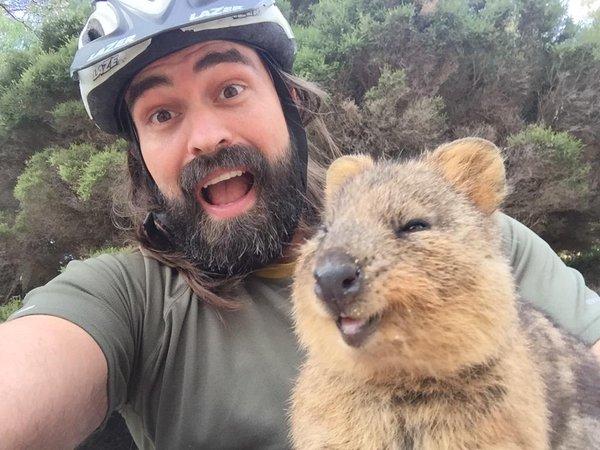 網上有大量與短尾矮袋鼠 selfie 的成功個案。（相：JoshtheFlanagan@twitter）