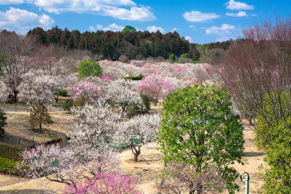 日本人自覺一生也不會去的都道府縣　 第 1 名你可能好想去？