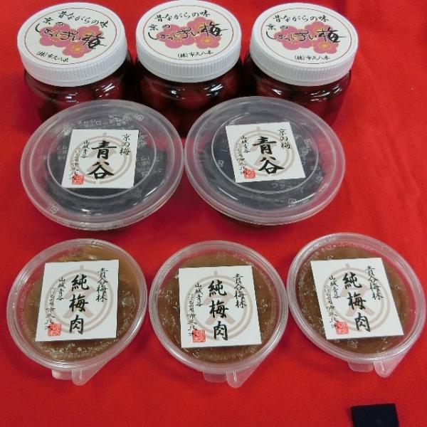大阪近郊 6 大賞梅名所 順道搜羅梅製食品