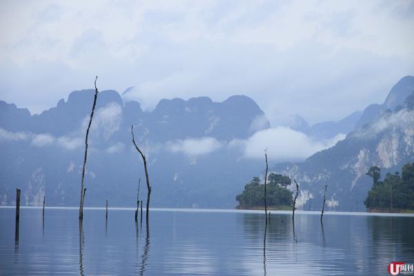 湖中巨型石灰岩山處處，從水中冒出的枯枝枯樹，在晨早的薄霧中，一片仙氣出塵。