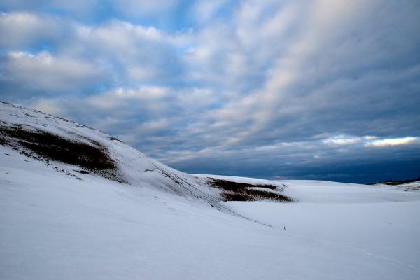 漫步在白色雪丘上！ 冬日限定雪の鳥取砂丘