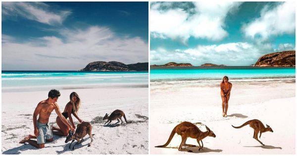 16個澳洲柏斯景點推介 袋鼠島、粉紅湖、滑沙