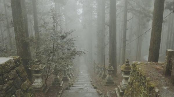 走進神秘國度探險！ 日本九州深山神社