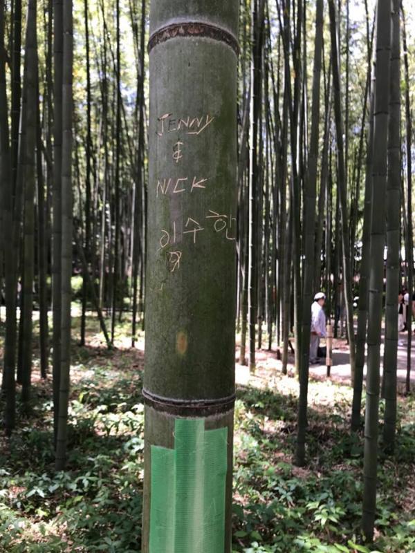 「李偉立到此一遊」 京都嵐山竹林遭遊客刻字破壞