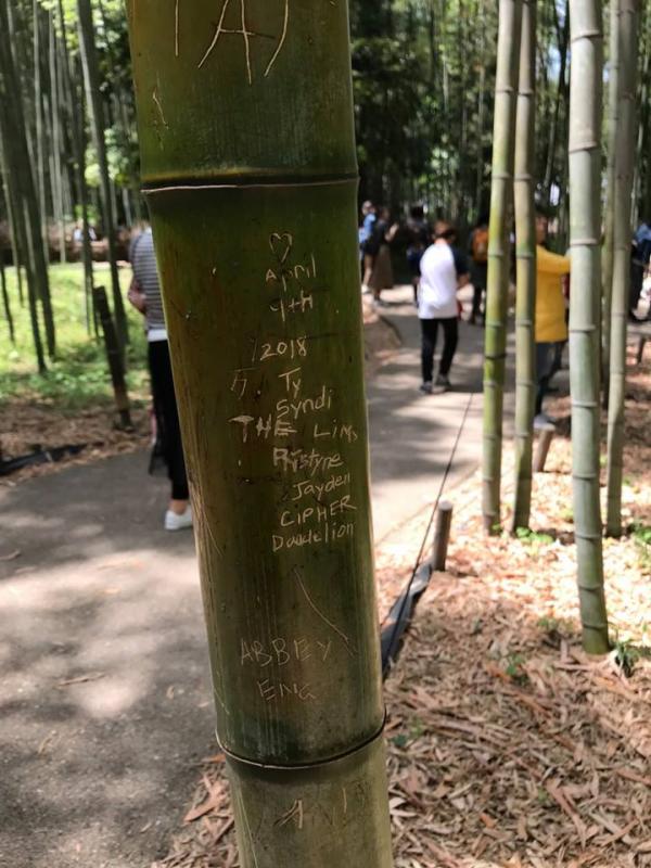 「李偉立到此一遊」 京都嵐山竹林遭遊客刻字破壞