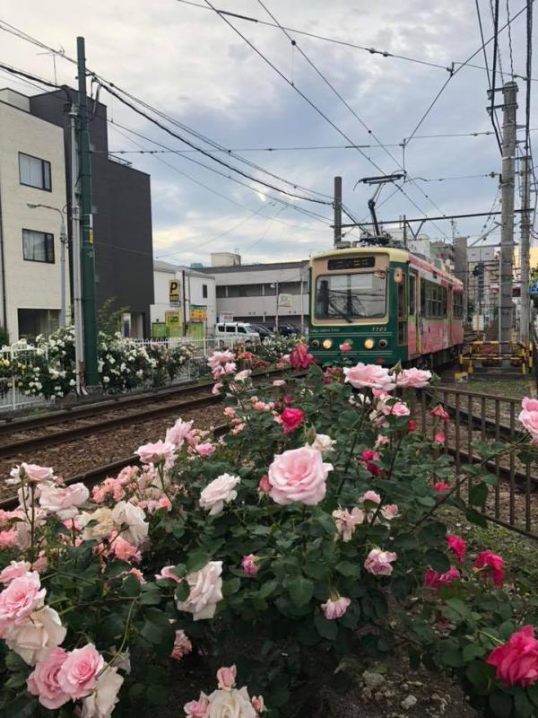 鐵路迷不會錯過路面電車 東京市區慢遊景點推介