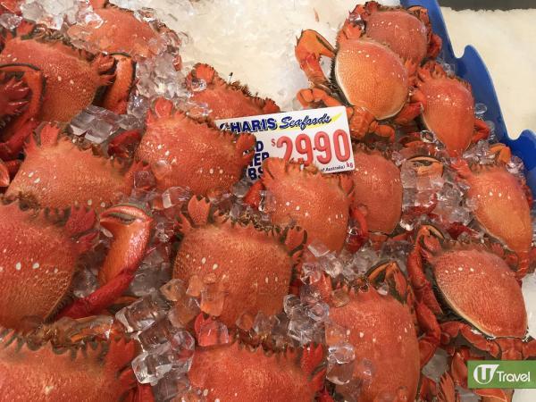 5一打新鮮生蠔！ 澳洲昆士蘭Charis Seafood Market平嘆海鮮