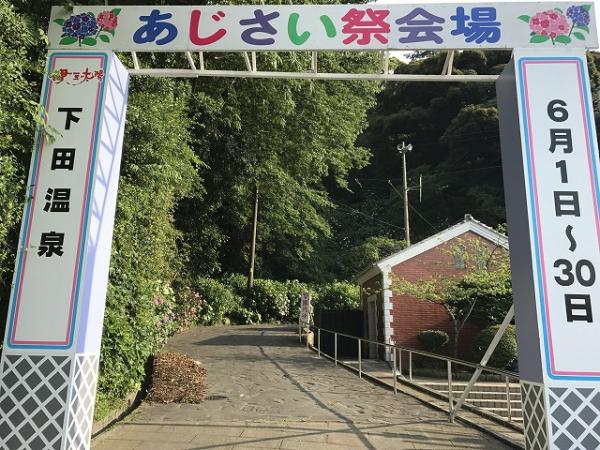 東京近郊360度「萬花筒」 伊豆下田公園6月繡球花祭