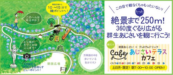 東京近郊360度「萬花筒」 伊豆下田公園6月繡球花祭