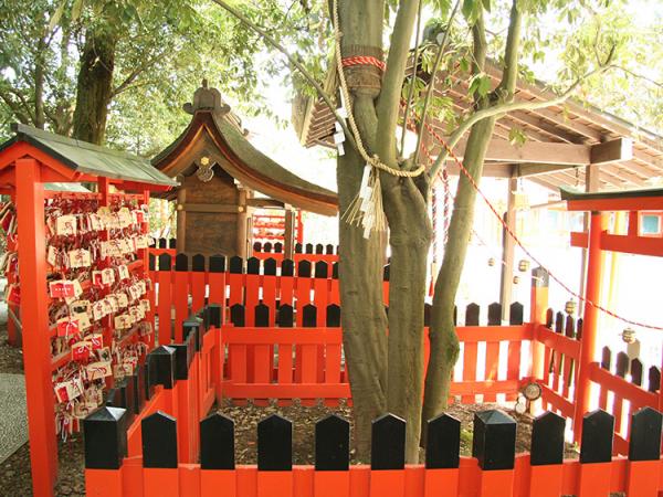 想求好姻緣要留意 京阪神7間求姻緣超靈驗神社