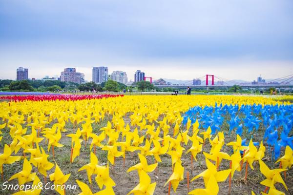9萬支彩色風車、燈海夜景 台灣板橋蝴蝶公園期間限定