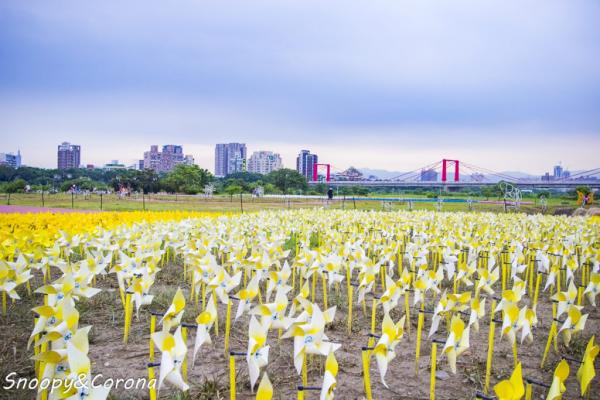 9萬支彩色風車、燈海夜景 台灣板橋蝴蝶公園期間限定