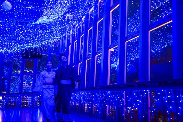 東京夏季浪漫打卡點 東京鐵塔流星天河夜景燈飾