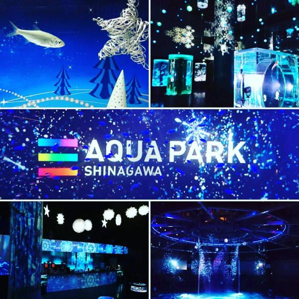 夏季海豚煙花秀 東京品川水族館Maxell Aqua Park新展覽