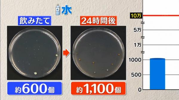 日本節目實測6款樽裝飲品 第一位飲一啖放24小時含菌量激增500萬倍
