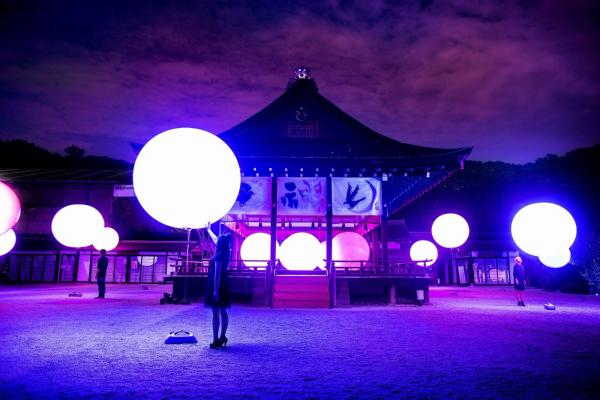 現代燈光技術與大自然融合 teamLab x 京都神社 8月光之祭