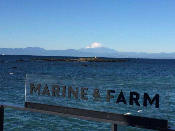 海邊嘆地道炮製意式料理 東京近郊海景餐廳Marine&Farm
