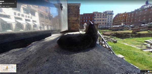 轉頭見到厭世伸脷萌貓！ 街貓亂入變羅馬Google街景彩蛋