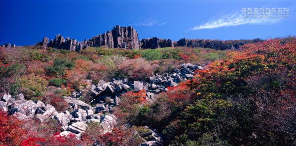 2020韓國紅葉預測 光州廣域市 無等山國立公園