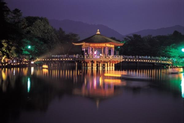 10,000支蠟燭燈照亮夜空 日本夏祭好去處「奈良燈花會」