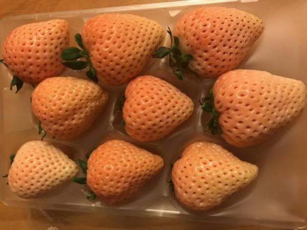 平過黑門市場！ 大阪木津市場飲食攻略