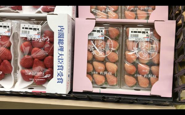 木津市場|圖片來源:istock、大阪木津批發市場官方網站、The Official Osaka Travel Guide、ODA食材センター官方網站 木津市場|圖片來源:istock、大阪木津批發市場官方網站、The Official Osaka Travel Guide、ODA食材センター官方網站