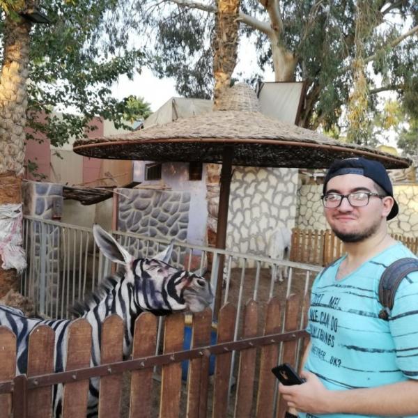 埃及動物園被爆驢仔扮斑馬 太熱溶妝斑馬紋崩壞