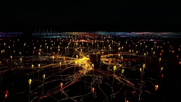 10萬平方米燈海！ 濟州綠茶園燈光藝術節