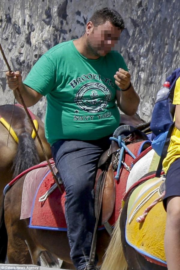 重磅旅客壓傷希臘驢仔 長年時間超載來回白屋慘變皮開肉綻