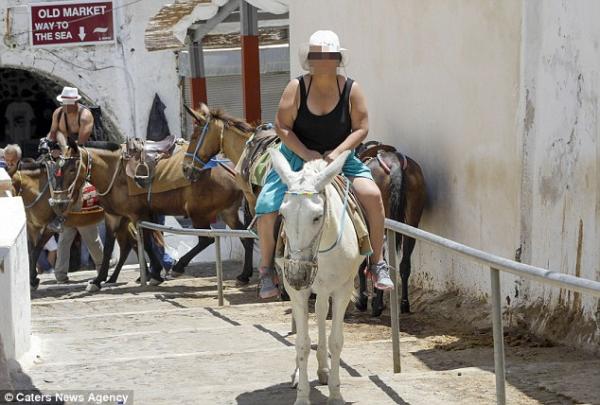 重磅旅客壓傷希臘驢仔 長年時間超載來回白屋慘變皮開肉綻
